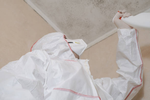Best Mold Testing and Inspection Services in Monticello, IA